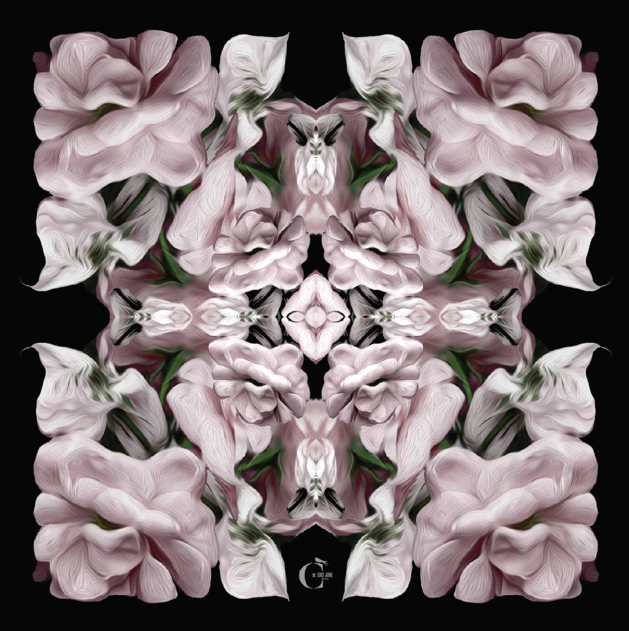 Black Pink Petals Scarf - Chainless Brain